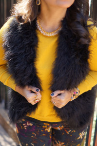 paloma-marum-fashion-blogger-happy-new-year-2014-vest